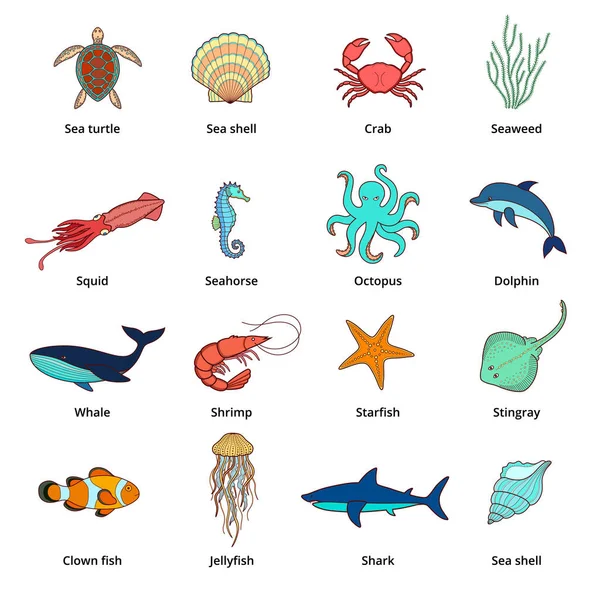 Deniz hayvanları üzerinde beyaz izole