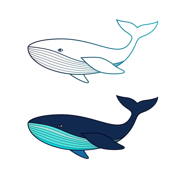 Whale isolated on white — Stock Vector