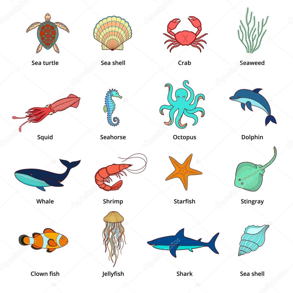 Sea animals isolated on white.
