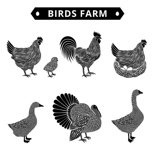 Silueta de granja de aves: pato, gallo, polluelo, ganso, gallina, pavo . — Archivo Imágenes Vectoriales