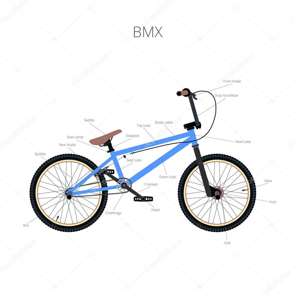 BMX bicycle infographic elements and parts.