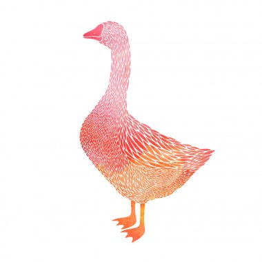 Kırmızı sulu boya kaz