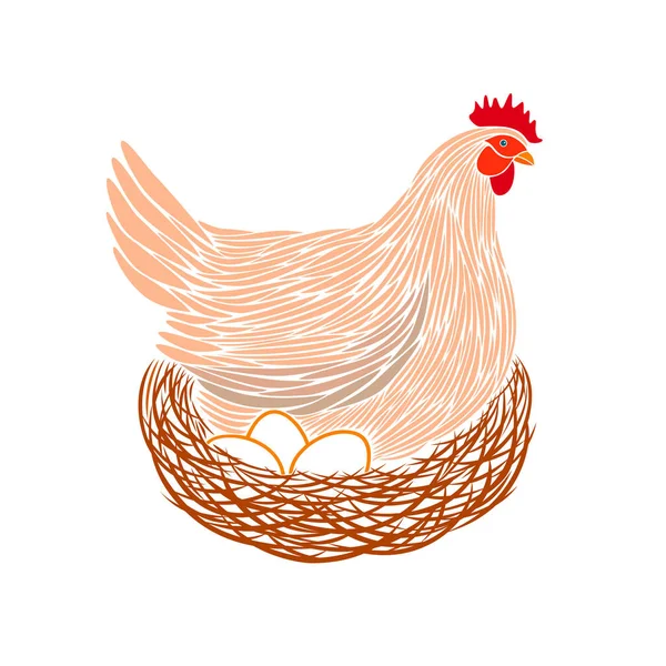Κότα σε φωλιά — Διανυσματικό Αρχείο