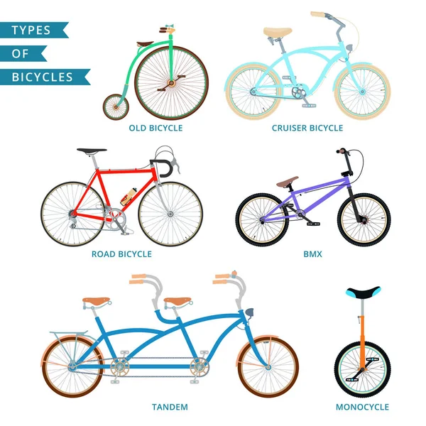 Types of bicycles — Stock Vector