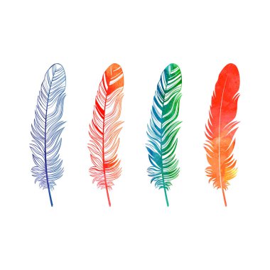 Suluboya tüy kümesi üzerinde beyaz izole