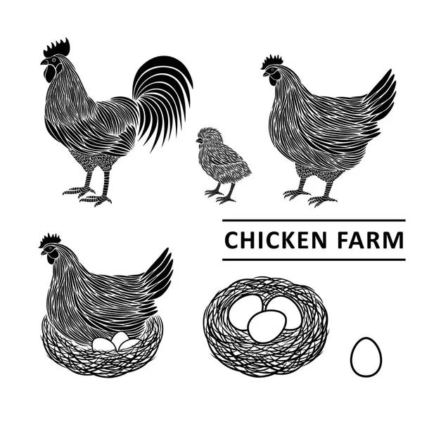 Qualidade premium de granja de frango . — Vetor de Stock