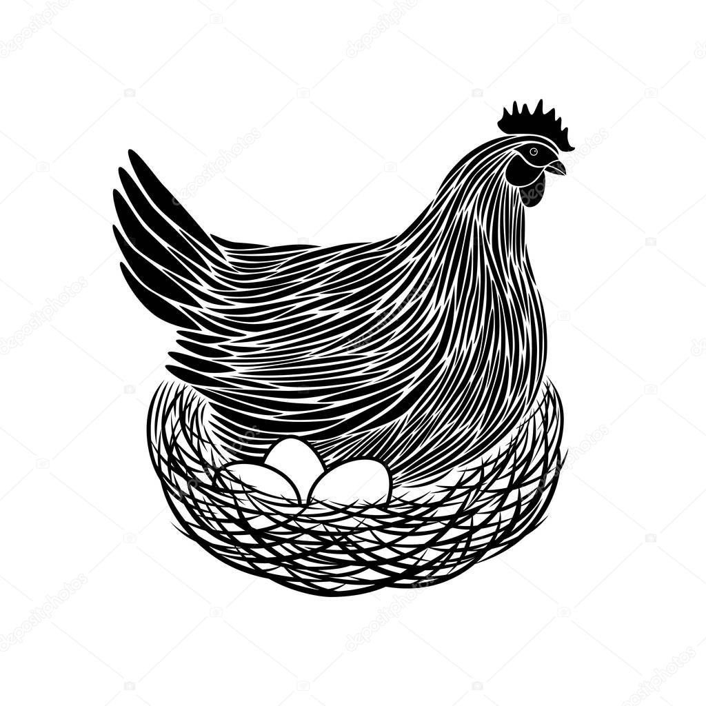 Vector illustration of a brooding hen.