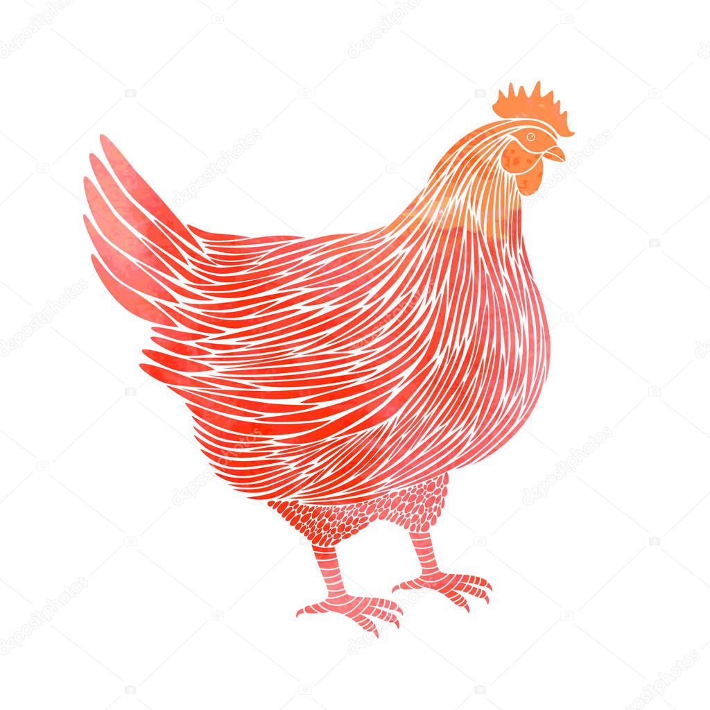 Watercolor hen isolated on white background.