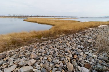 Çernobil bölgesi için tur tuşuna basın