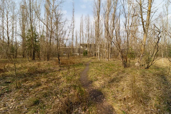 Naciśnij wycieczkę do Czarnobyla strefy — Zdjęcie stockowe