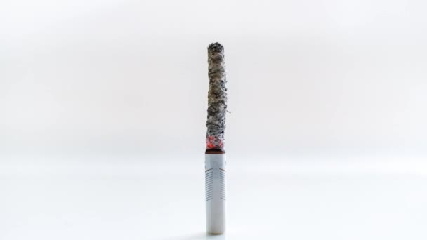 Timelapse Video Close Cigarette Burning Smoking Turning Ashes Bright Background — Stock Video