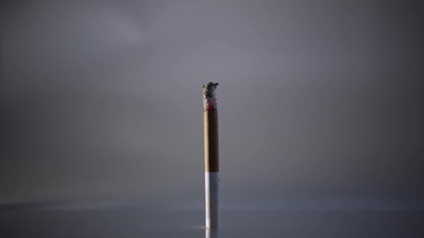 在黑暗的背景下 关闭香烟燃烧 吸烟和化为灰烬的时间超过4K视频 — 图库视频影像
