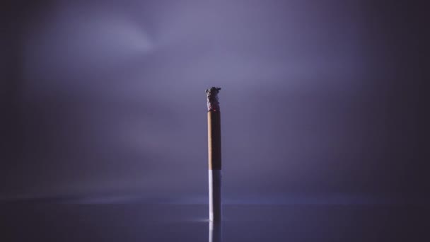 Timelapse Vídeo Close Cigarro Queimando Fumando Transformando Cinzas Contra Fundo — Vídeo de Stock