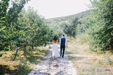 bir koyu mavi takım elbise ve beyaz düğün elbise yürüyerek açık havada bahçe ve tutun elinde güzel gelin damat