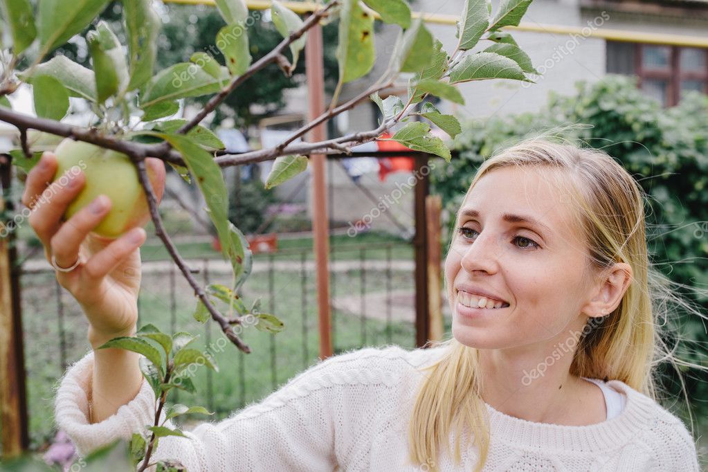Молодая блондинка в белом свитере собирает яблоко с дерева в саду.