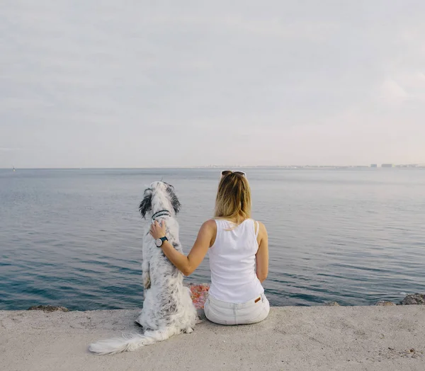 sevimli beyaz köpek kadınla