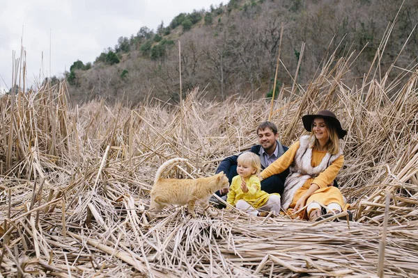 Jovem família entre juncos secos — Fotografia de Stock