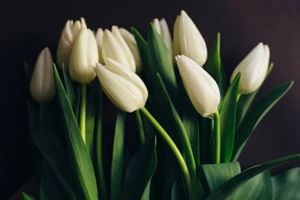 Ramo de tulipanes blancos —  Fotos de Stock