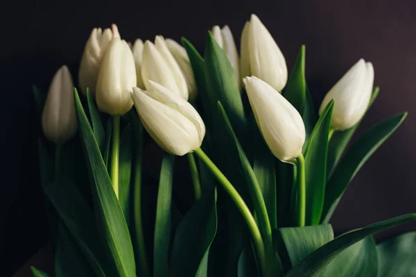 Tulipani bianchi bouquet — Foto Stock