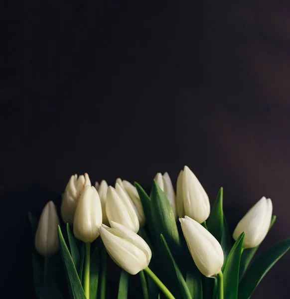 白色郁金香花束 — 图库照片