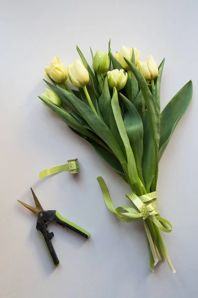 Ramo de tulipanes y tijeras de podar —  Fotos de Stock