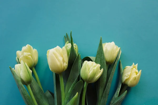 Білі тюльпани букет — стокове фото