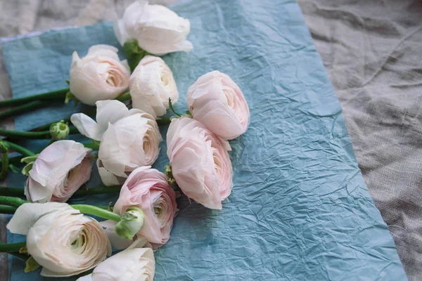 Blekt rosa och vita ranunculus — Stockfoto