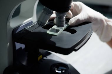 Bilim adamlarının ellerini mikroskop ile kapatın, laboratuvarda örnekler inceleyin.