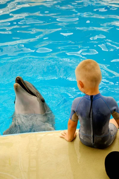 快乐地笑着宽吻海豚和孩子们在大海中与五彩缤纷的环儿玩耍 海豚素辅助疗法 — 图库照片