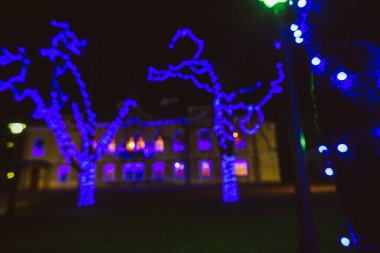 Parlayan ışıklar ile Noel ağacı