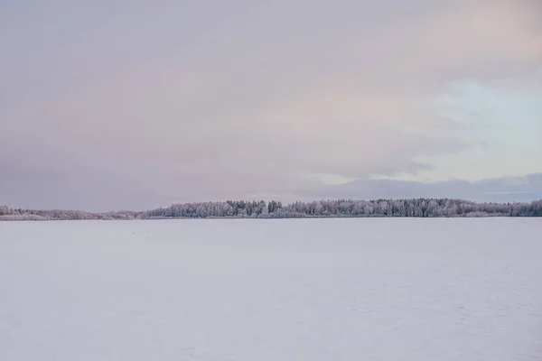 Foresta e campo coperti di neve — Foto Stock