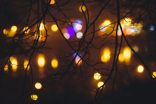 View through branches at blurred street — Stock Photo, Image