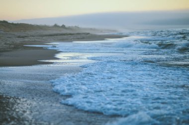 Curonian Spit boş beach