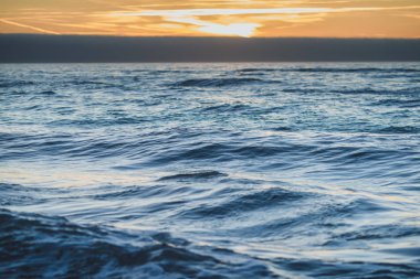 Curonian Spit boş beach