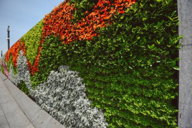  Duvar çiçek Bund, Shanghai, Çin