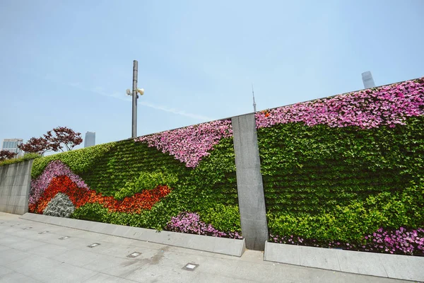 墙上的花朵在外滩，上海，中国 — 图库照片