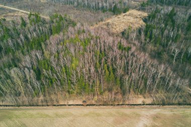 Tarım alanları Litvanya