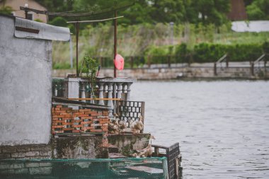 Shanghai, Çin - 07 Mayıs 2016: Kaz Zhujiajiao antik kenti kasabasında bahçesinde 