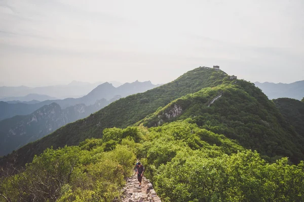 Gran pared de china — Foto de Stock