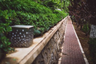 Parkta yürüyüş yolu