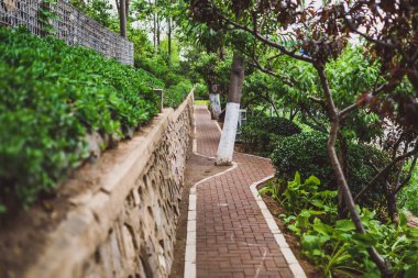 Parkta yürüyüş yolu