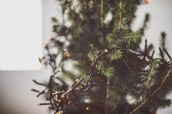 Piccolo Albero Natale Con Ghirlanda Luci Vicino — Foto Stock