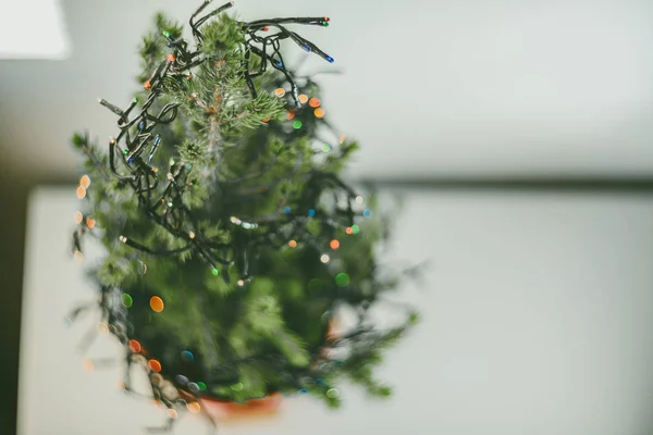 Piccolo Albero Natale Secchio Rosso Sul Tavolo Bianco — Foto Stock