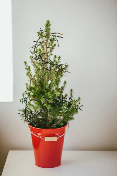 Piccolo Albero Natale Secchio Rosso Sul Tavolo Bianco — Foto Stock