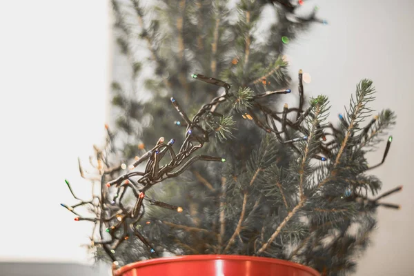 Pequeño Árbol Navidad Cubo Rojo Sobre Mesa Blanca —  Fotos de Stock