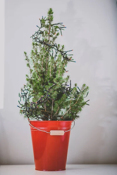 Piccolo Albero Natale Secchio Rosso Sul Tavolo Bianco — Foto Stock