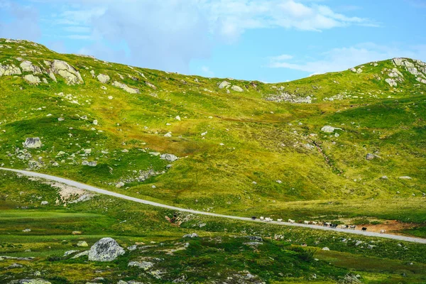 Горный перевал в Норвегии — стоковое фото