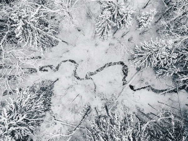 Vista aérea da floresta e do rio no inverno — Fotografia de Stock