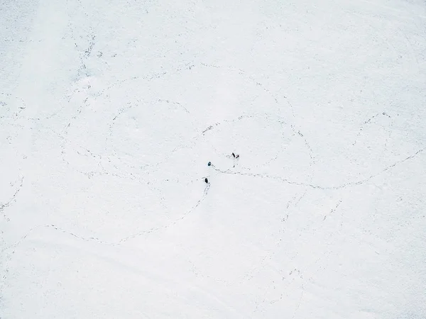 Cidade após neve pesada — Fotografia de Stock