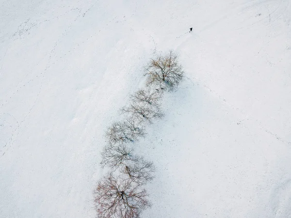 Stad efter tung snö — Stockfoto